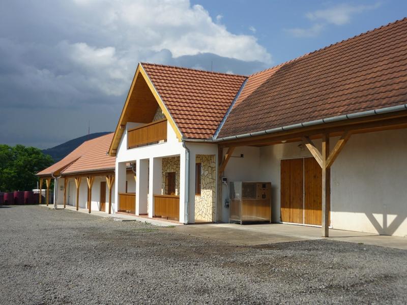 Erdőbénye Olze Panzio B&B 외부 사진